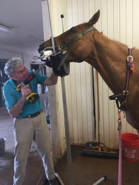 Discounted dental clinic, Range View Equine Associates, Colorado @ Range View Equine Associates | Elbert | Colorado | United States