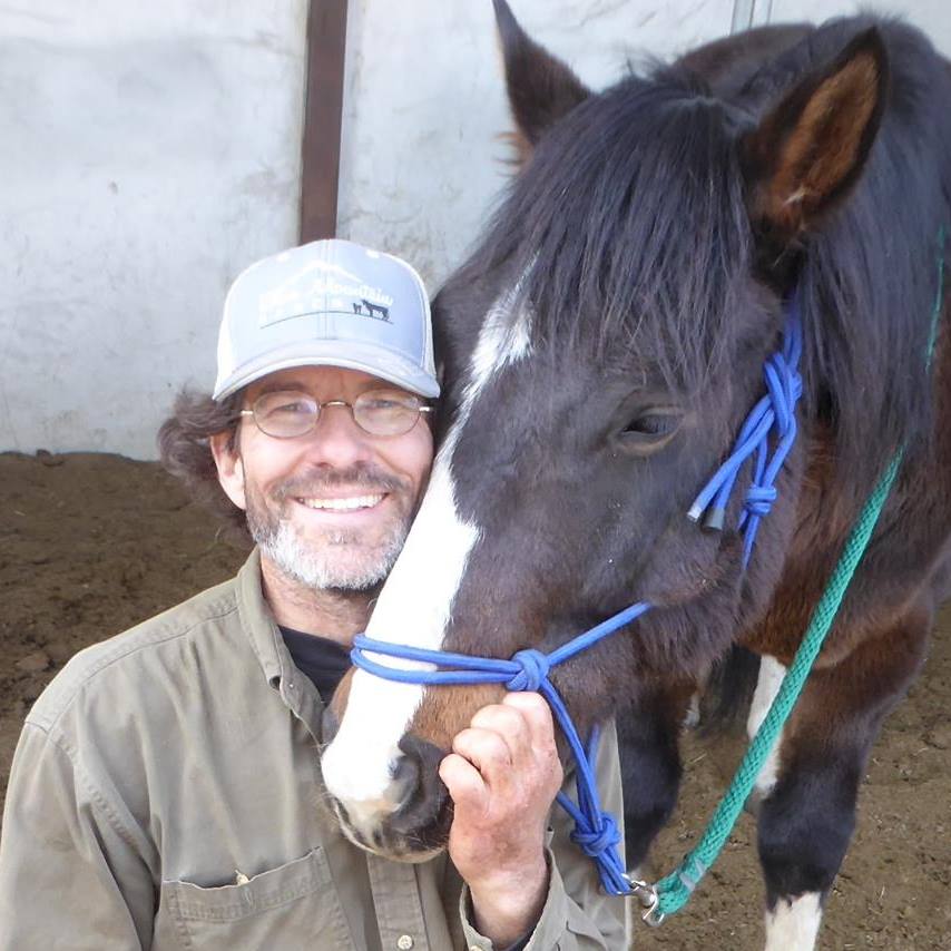 dr bell horse drops toothpicks dr bell horse drops toothpicks